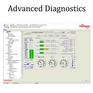 Valtek-flowserve-DIAGNOSTICS